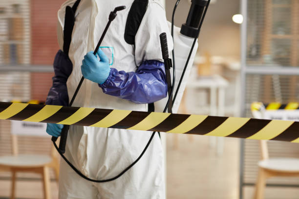 Professional Sewage Cleanup technician working in Elgin, IL